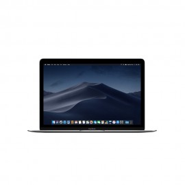 MacBook Retina 12" i5 1,3 Ghz 16 Go RAM 512 Go SSD Gris Sidéral (2017)