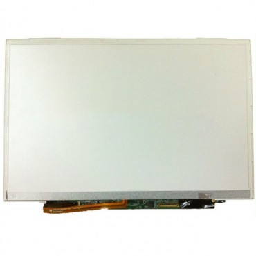 HW13WX001 Boe Dalle Ecran pour Ordinateur