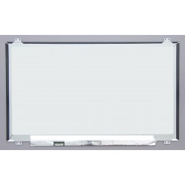 B173RTN02.1 H/W:0A AU Optronics Dalle Ecran pour Ordinateur