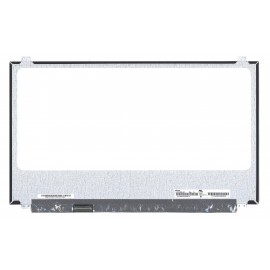 B173ZAN01.4 AU Optronics Dalle Ecran pour Ordinateur